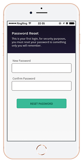 Password reset screen